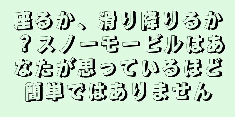 座るか、滑り降りるか？スノーモービルはあなたが思っているほど簡単ではありません