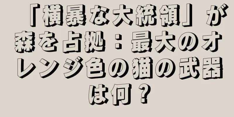 「横暴な大統領」が森を占拠：最大のオレンジ色の猫の武器は何？