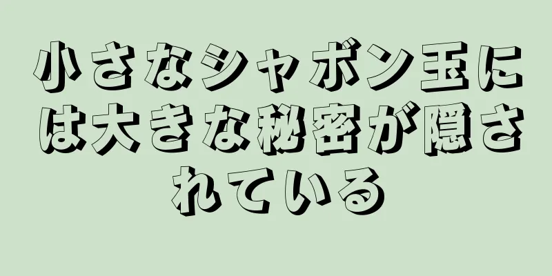 小さなシャボン玉には大きな秘密が隠されている