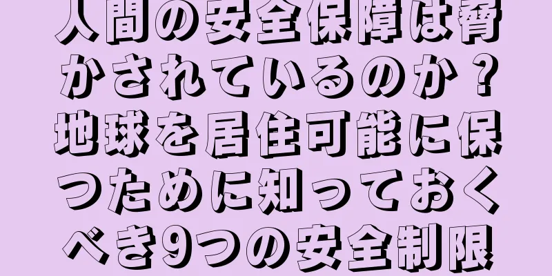 人間の安全保障は脅かされているのか？地球を居住可能に保つために知っておくべき9つの安全制限
