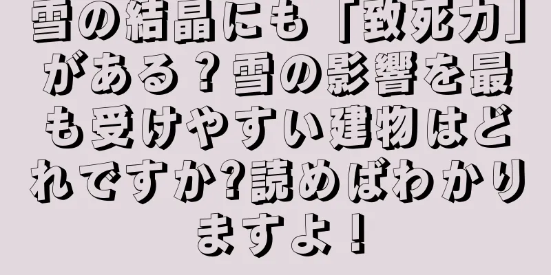 雪の結晶にも「致死力」がある？雪の影響を最も受けやすい建物はどれですか?読めばわかりますよ！