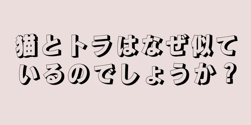 猫とトラはなぜ似ているのでしょうか？