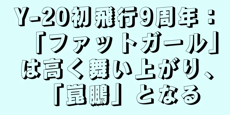 Y-20初飛行9周年：「ファットガール」は高く舞い上がり、「崑鵬」となる