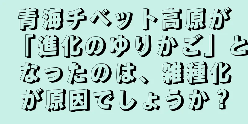 青海チベット高原が「進化のゆりかご」となったのは、雑種化が原因でしょうか？