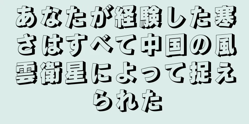 あなたが経験した寒さはすべて中国の風雲衛星によって捉えられた