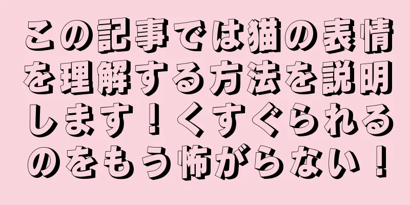 この記事では猫の表情を理解する方法を説明します！くすぐられるのをもう怖がらない！