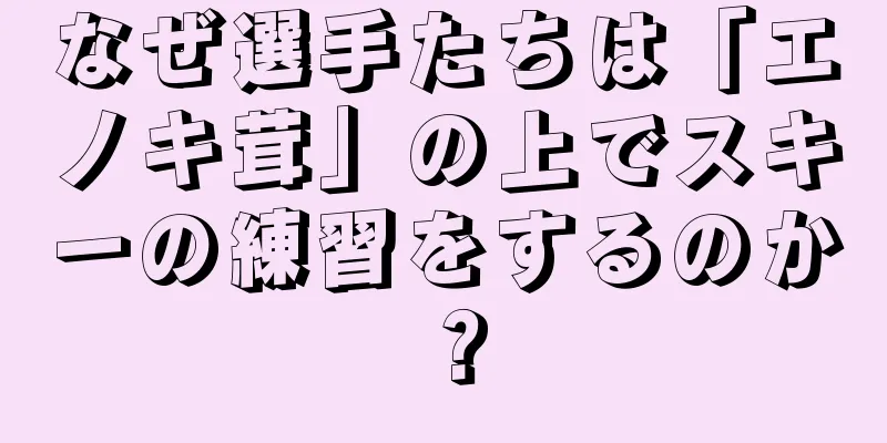 なぜ選手たちは「エノキ茸」の上でスキーの練習をするのか？