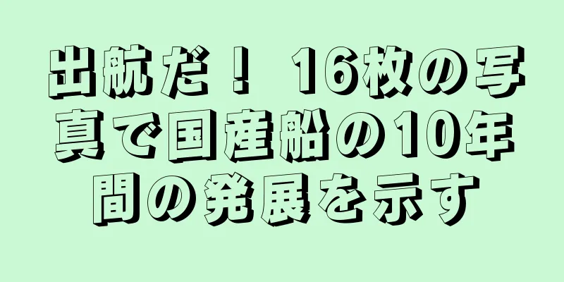 出航だ！ 16枚の写真で国産船の10年間の発展を示す