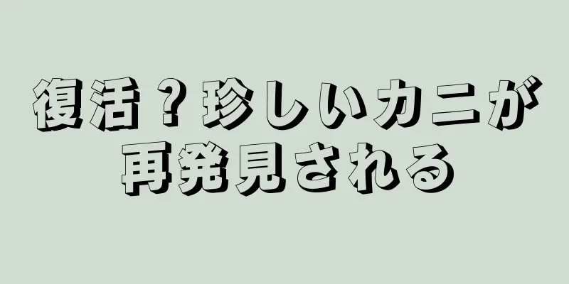 復活？珍しいカニが再発見される