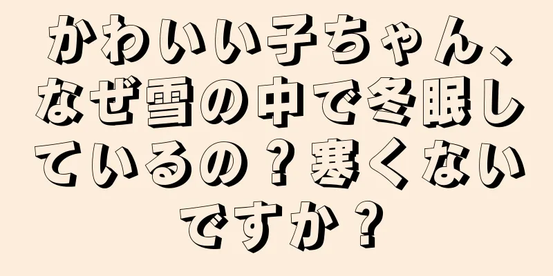 かわいい子ちゃん、なぜ雪の中で冬眠しているの？寒くないですか？