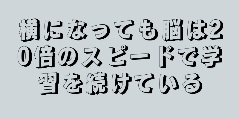 横になっても脳は20倍のスピードで学習を続けている