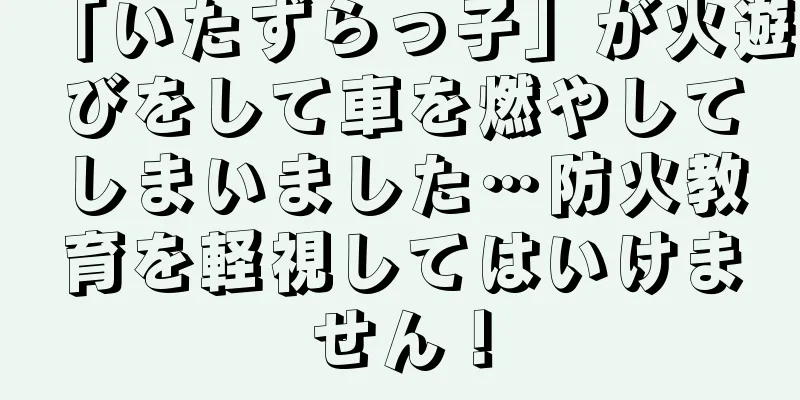 「いたずらっ子」が火遊びをして車を燃やしてしまいました…防火教育を軽視してはいけません！