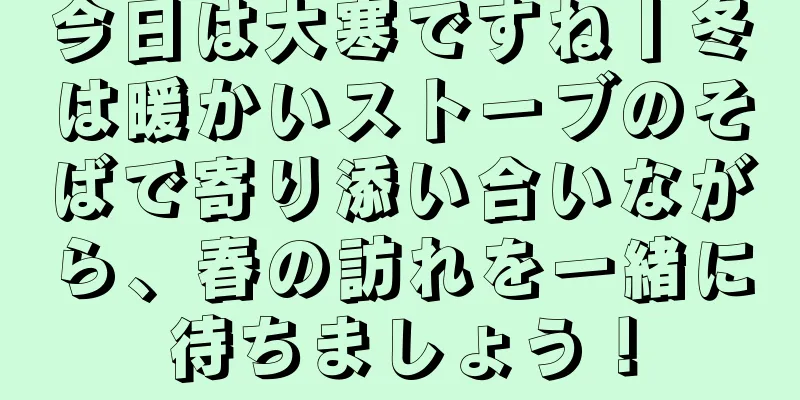 今日は大寒ですね丨冬は暖かいストーブのそばで寄り添い合いながら、春の訪れを一緒に待ちましょう！
