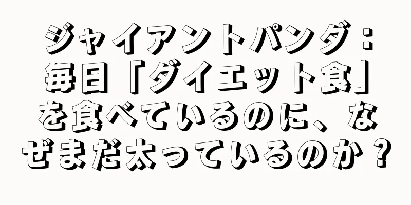 ジャイアントパンダ：毎日「ダイエット食」を食べているのに、なぜまだ太っているのか？