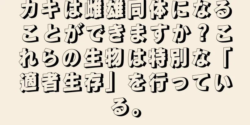 カキは雌雄同体になることができますか？これらの生物は特別な「適者生存」を行っている。