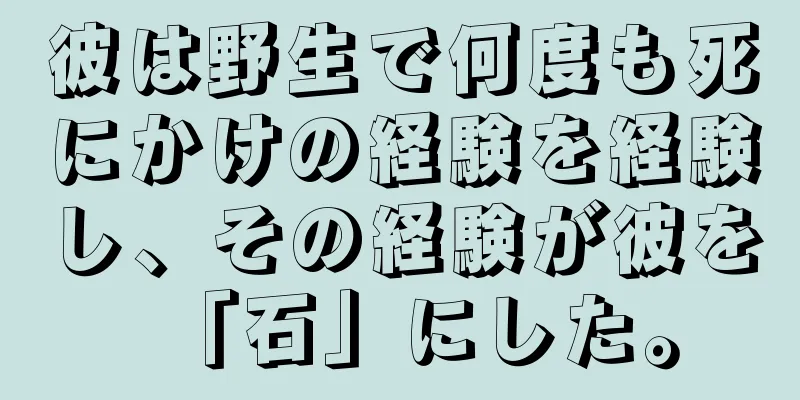 彼は野生で何度も死にかけの経験を経験し、その経験が彼を「石」にした。