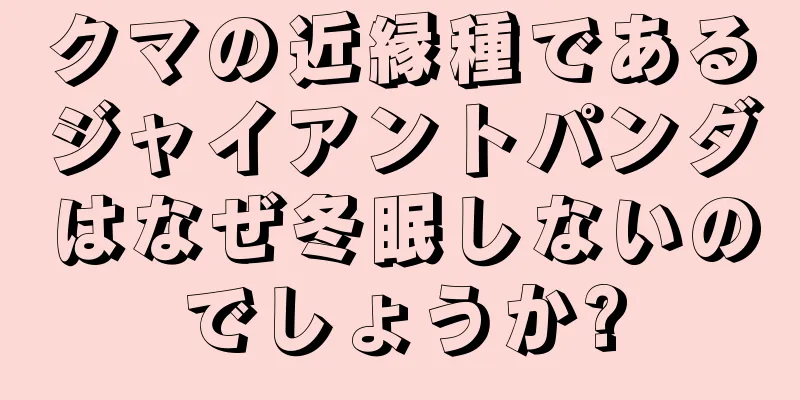 クマの近縁種であるジャイアントパンダはなぜ冬眠しないのでしょうか?