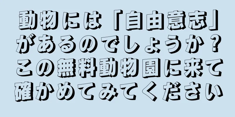 動物には「自由意志」があるのでしょうか？この無料動物園に来て確かめてみてください