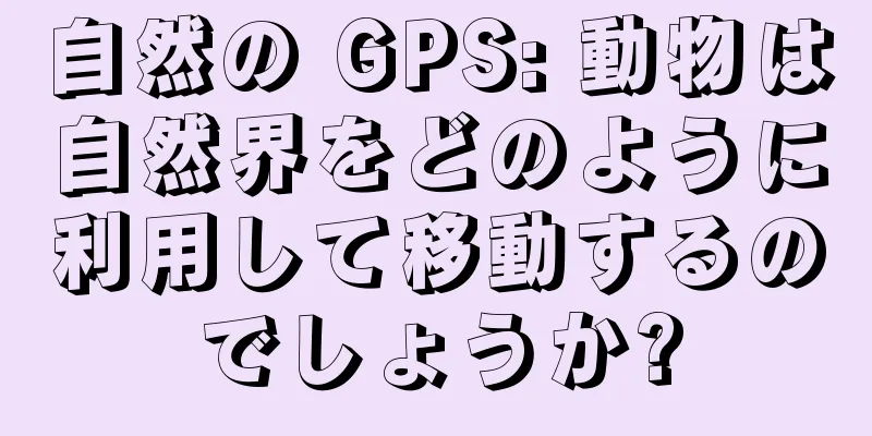 自然の GPS: 動物は自然界をどのように利用して移動するのでしょうか?