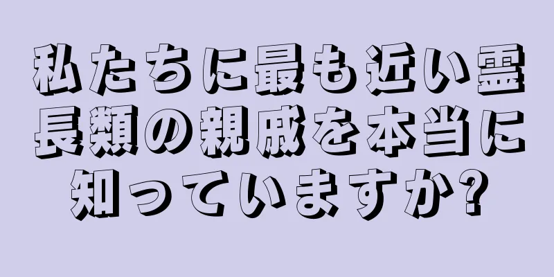 私たちに最も近い霊長類の親戚を本当に知っていますか?