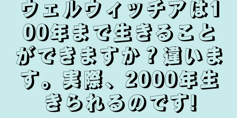 ウェルウィッチアは100年まで生きることができますか？違います。実際、2000年生きられるのです!