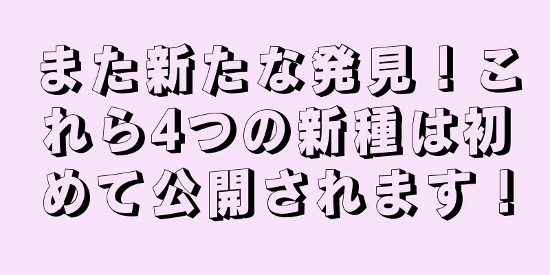 また新たな発見！これら4つの新種は初めて公開されます！