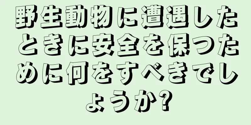野生動物に遭遇したときに安全を保つために何をすべきでしょうか?