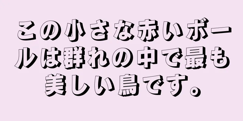 この小さな赤いボールは群れの中で最も美しい鳥です。