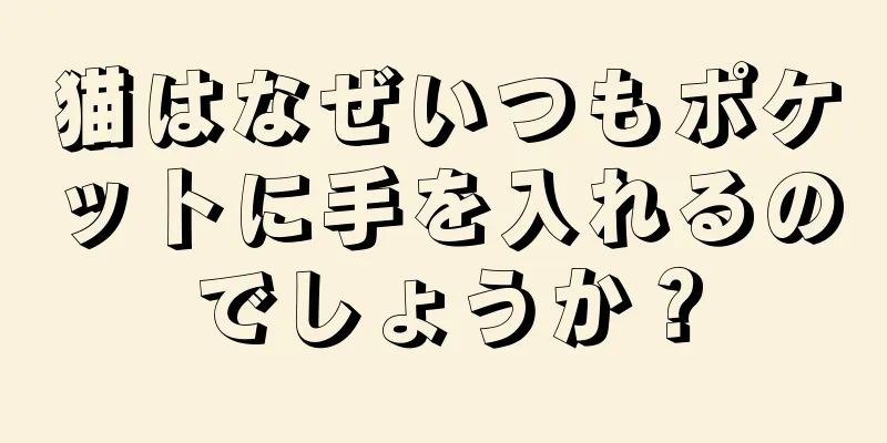 猫はなぜいつもポケットに手を入れるのでしょうか？