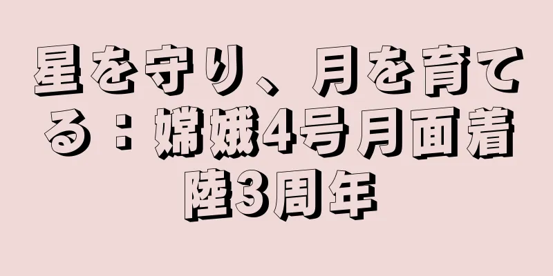 星を守り、月を育てる：嫦娥4号月面着陸3周年