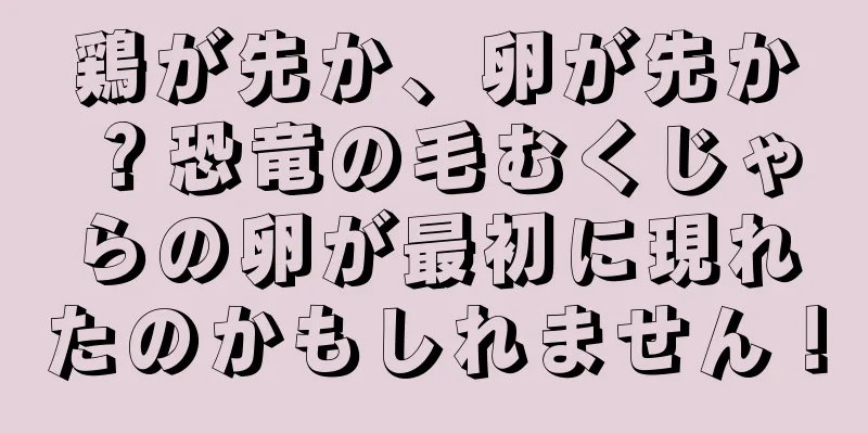鶏が先か、卵が先か？恐竜の毛むくじゃらの卵が最初に現れたのかもしれません！