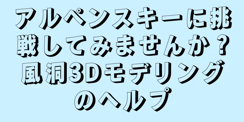 アルペンスキーに挑戦してみませんか？風洞3Dモデリングのヘルプ