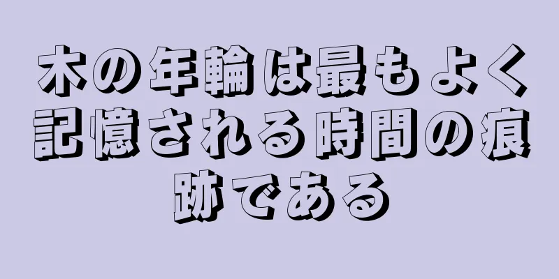 木の年輪は最もよく記憶される時間の痕跡である