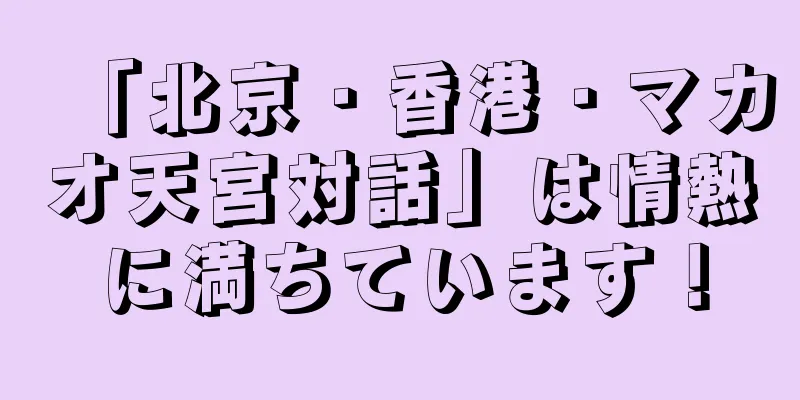 「北京・香港・マカオ天宮対話」は情熱に満ちています！