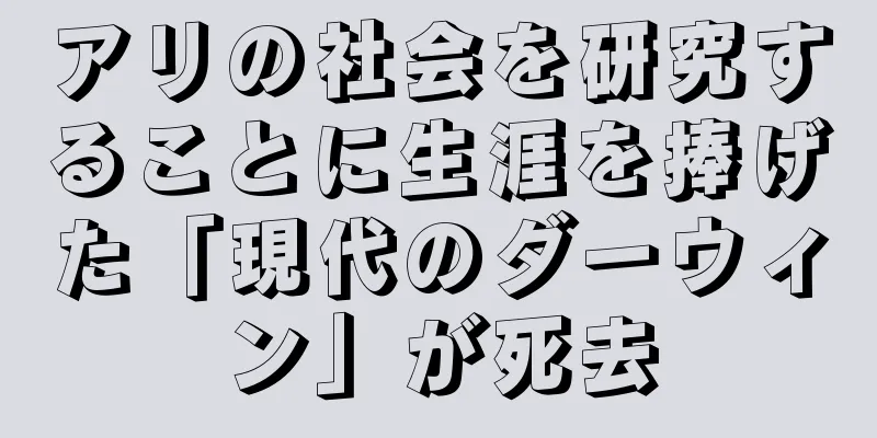 アリの社会を研究することに生涯を捧げた「現代のダーウィン」が死去