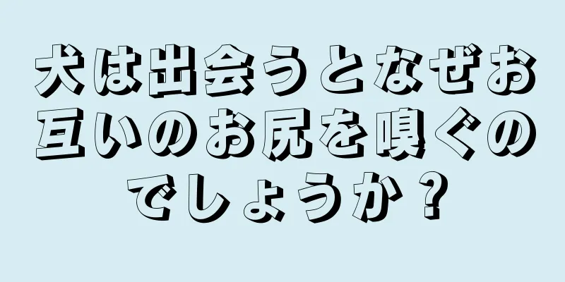 犬は出会うとなぜお互いのお尻を嗅ぐのでしょうか？