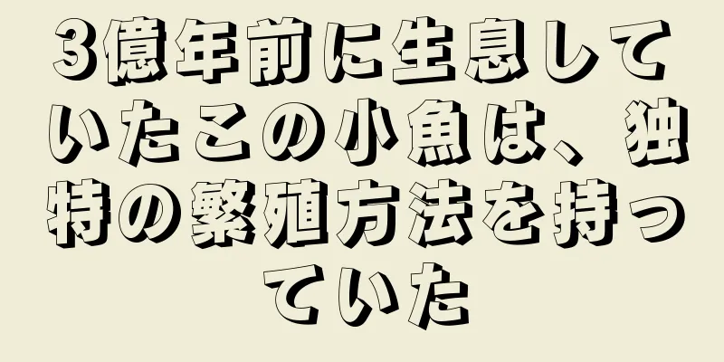 3億年前に生息していたこの小魚は、独特の繁殖方法を持っていた