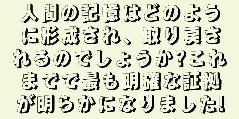 人間の記憶はどのように形成され、取り戻されるのでしょうか?これまでで最も明確な証拠が明らかになりました!
