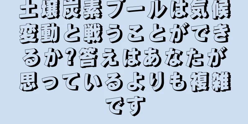 土壌炭素プールは気候変動と戦うことができるか?答えはあなたが思っているよりも複雑です