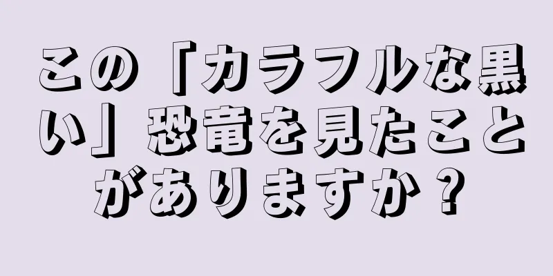 この「カラフルな黒い」恐竜を見たことがありますか？