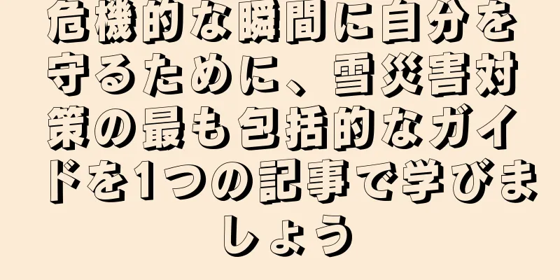 危機的な瞬間に自分を守るために、雪災害対策の最も包括的なガイドを1つの記事で学びましょう