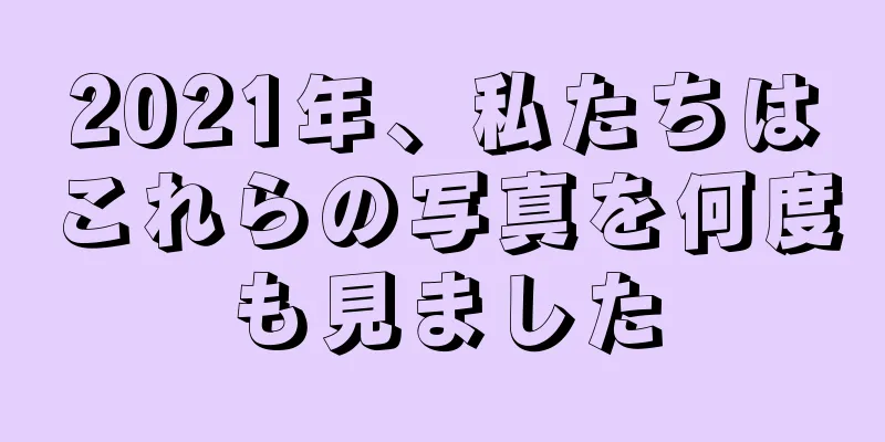 2021年、私たちはこれらの写真を何度も見ました