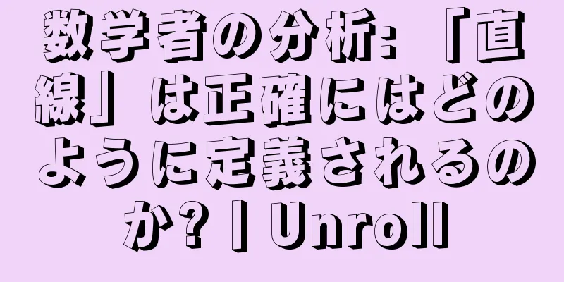 数学者の分析: 「直線」は正確にはどのように定義されるのか?丨Unroll