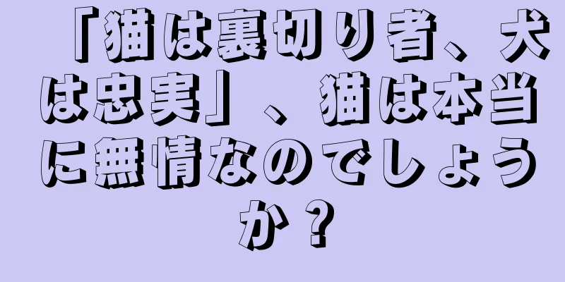 「猫は裏切り者、犬は忠実」、猫は本当に無情なのでしょうか？