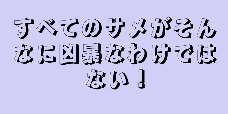 すべてのサメがそんなに凶暴なわけではない！