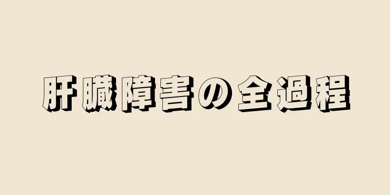 肝臓障害の全過程
