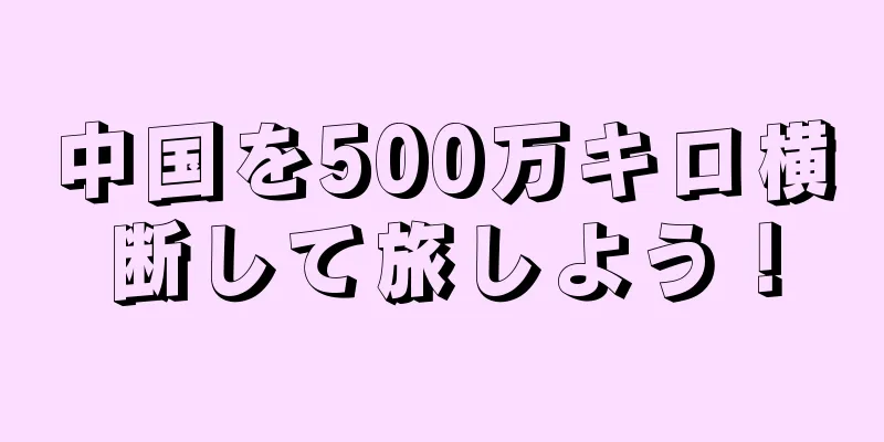 中国を500万キロ横断して旅しよう！