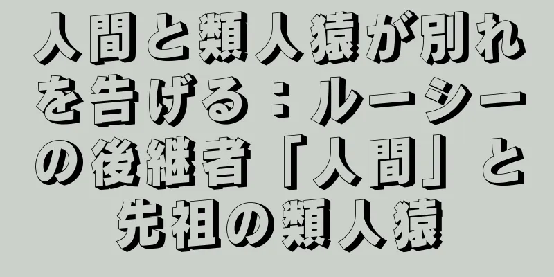 人間と類人猿が別れを告げる：ルーシーの後継者「人間」と先祖の類人猿