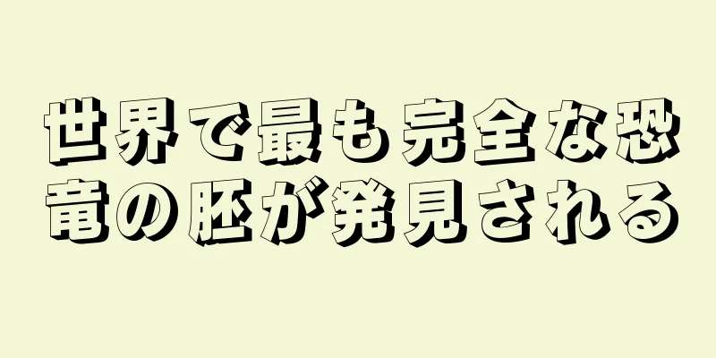世界で最も完全な恐竜の胚が発見される