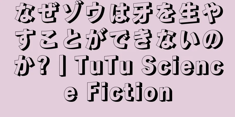 なぜゾウは牙を生やすことができないのか?丨TuTu Science Fiction